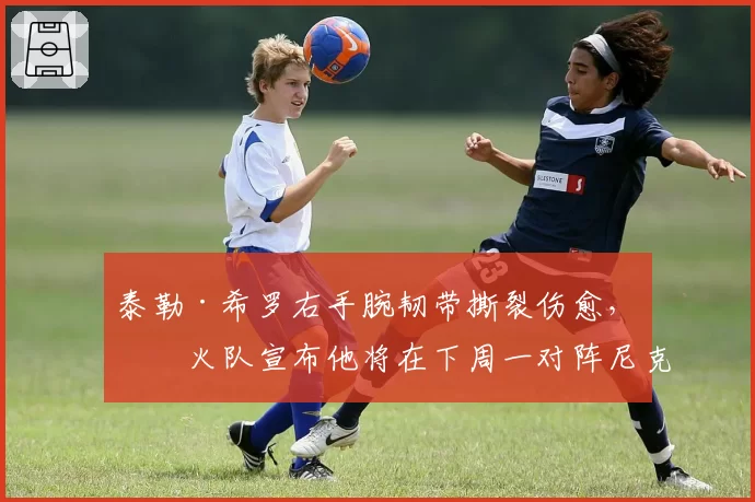 泰勒·希罗右手腕韧带撕裂伤愈，热火队宣布他将在下周一对阵尼克斯时复出