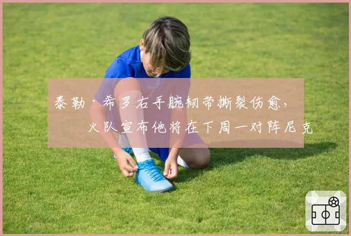 泰勒·希罗右手腕韧带撕裂伤愈,热火队宣布他将在下周一对阵尼克斯时复出