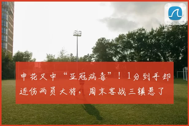 申花又中“亚冠病毒”！1分到手却连伤两员大将，周末客战三镇悬了？